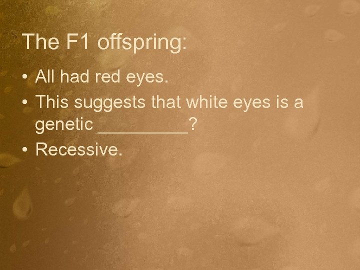 The F 1 offspring: • All had red eyes. • This suggests that white