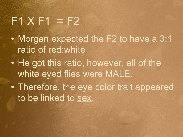 F 1 X F 1 = F 2 • Morgan expected the F 2