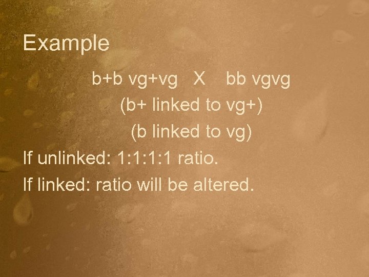 Example b+b vg+vg X bb vgvg (b+ linked to vg+) (b linked to vg)