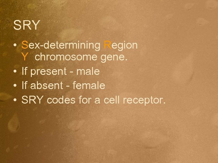 SRY • Sex-determining Region Y chromosome gene. • If present - male • If