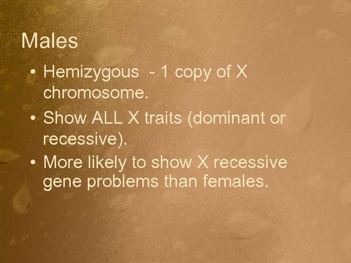 Males • Hemizygous - 1 copy of X chromosome. • Show ALL X traits