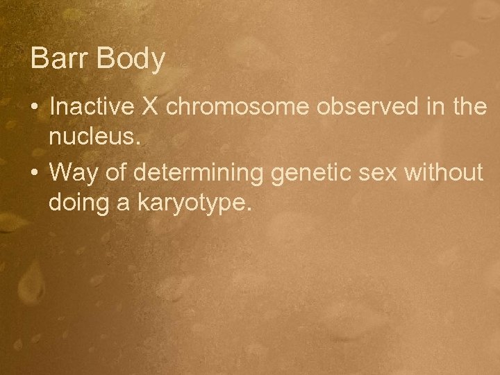 Barr Body • Inactive X chromosome observed in the nucleus. • Way of determining