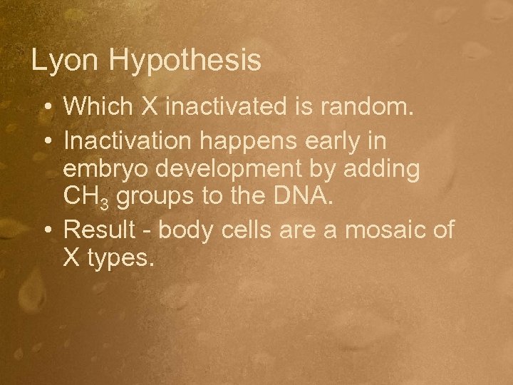 Lyon Hypothesis • Which X inactivated is random. • Inactivation happens early in embryo