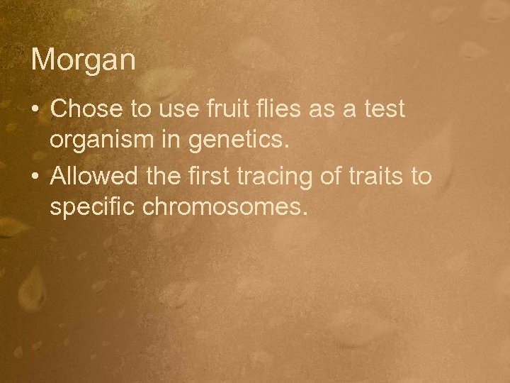 Morgan • Chose to use fruit flies as a test organism in genetics. •