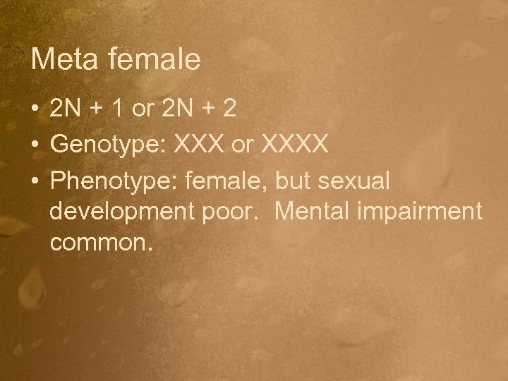 Meta female • 2 N + 1 or 2 N + 2 • Genotype: