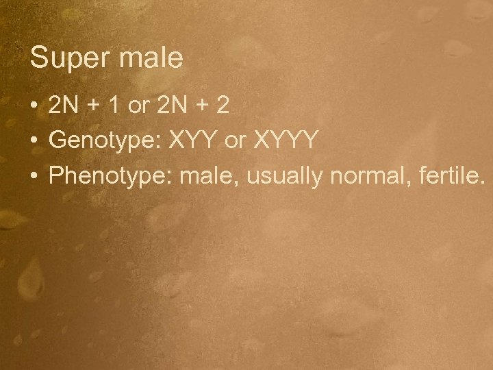 Super male • 2 N + 1 or 2 N + 2 • Genotype: