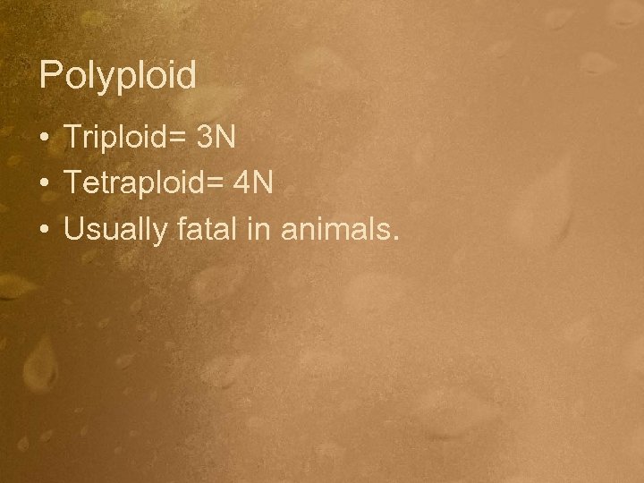 Polyploid • Triploid= 3 N • Tetraploid= 4 N • Usually fatal in animals.