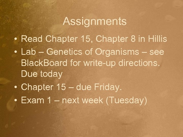 Assignments • Read Chapter 15, Chapter 8 in Hillis • Lab – Genetics of
