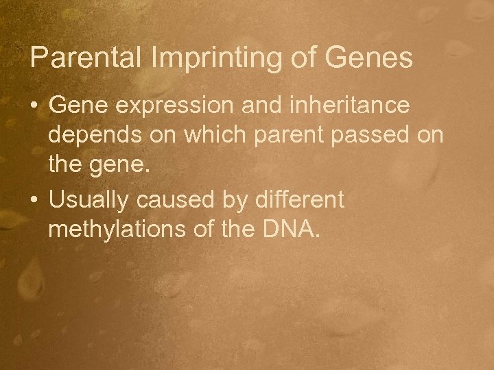 Parental Imprinting of Genes • Gene expression and inheritance depends on which parent passed