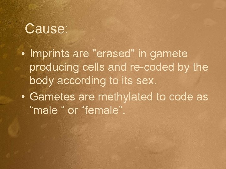 Cause: • Imprints are "erased" in gamete producing cells and re-coded by the body