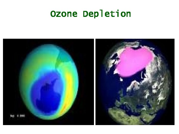 Ozone Depletion 