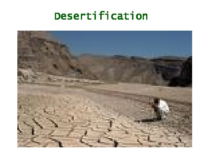 Desertification 