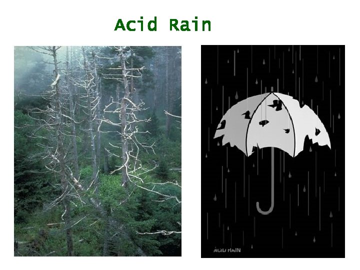 Acid Rain 