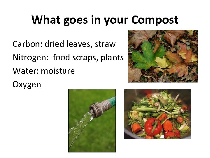What goes in your Compost Carbon: dried leaves, straw Nitrogen: food scraps, plants Water:
