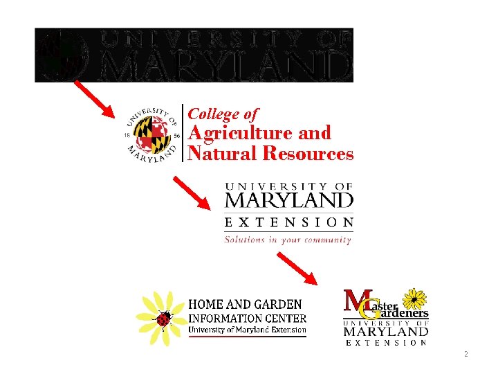 College of Agriculture and Natural Resources 2 