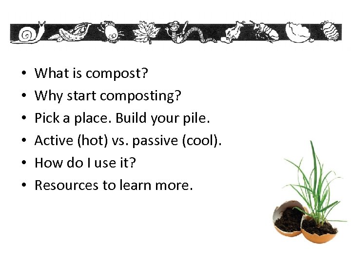  • • • What is compost? Why start composting? Pick a place. Build