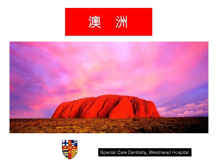 澳 洲 Special Care Dentistry, Westmead Hospital 