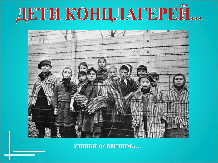 УЗНИКИ ОСВЕНЦИМА… 
