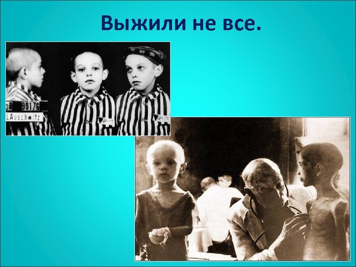 Выжили не все. 