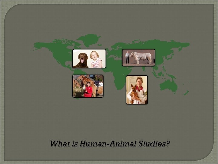 What is Human-Animal Studies? 