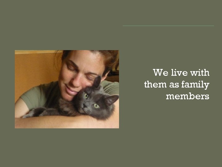 We live with them as family members 