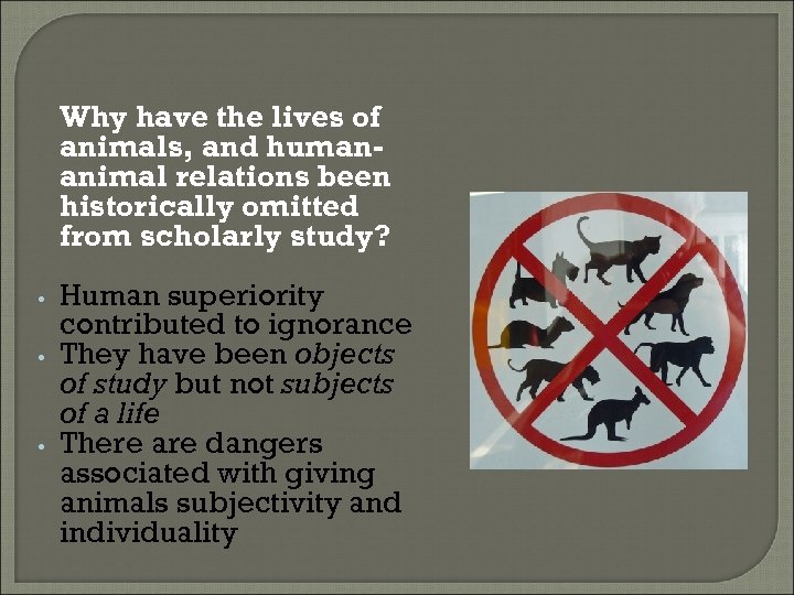  • • • Why have the lives of animals, and humananimal relations been