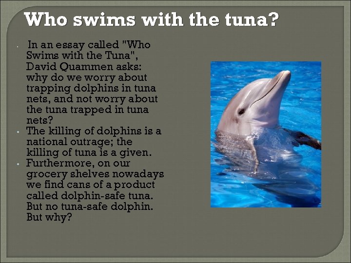 Who swims with the tuna? • • • In an essay called 