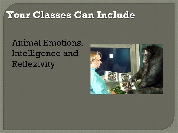 Your Classes Can Include Animal Emotions, Intelligence and Reflexivity 