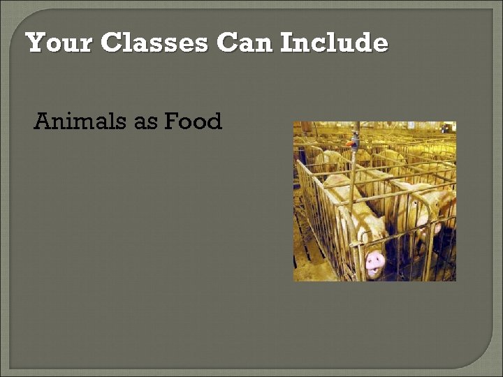 Your Classes Can Include Animals as Food 