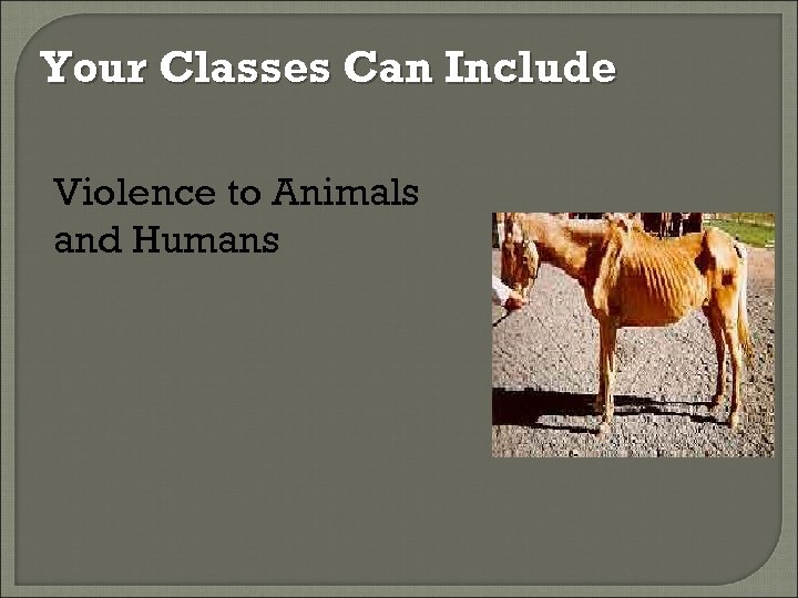 Your Classes Can Include Violence to Animals and Humans 