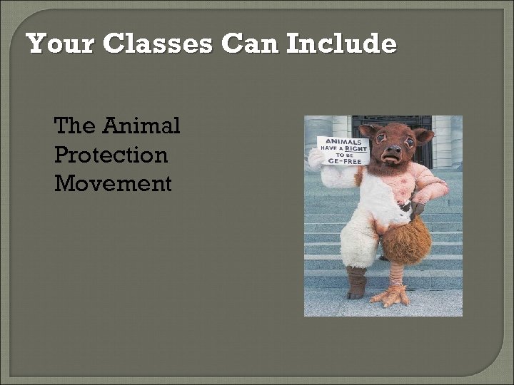 Your Classes Can Include The Animal Protection Movement 