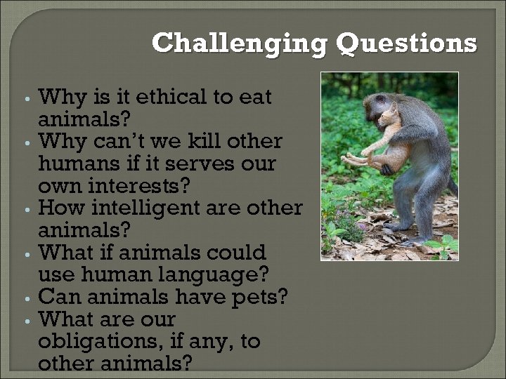 Challenging Questions • • • Why is it ethical to eat animals? Why can’t
