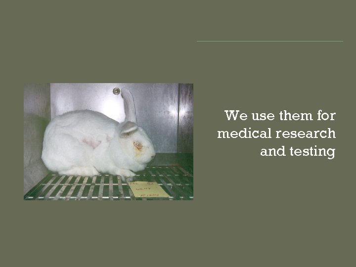 We use them for medical research and testing 