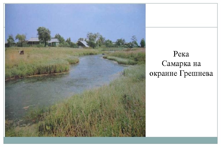 Река Самарка на окраине Грешнева 