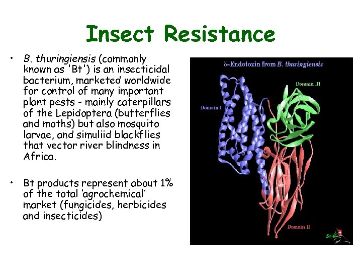 Insect Resistance • B. thuringiensis (commonly known as 'Bt') is an insecticidal bacterium, marketed