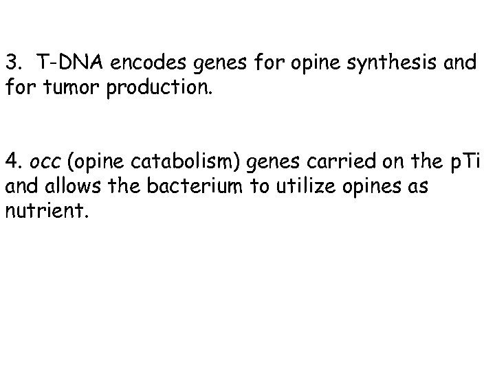 3. T-DNA encodes genes for opine synthesis and for tumor production. 4. occ (opine