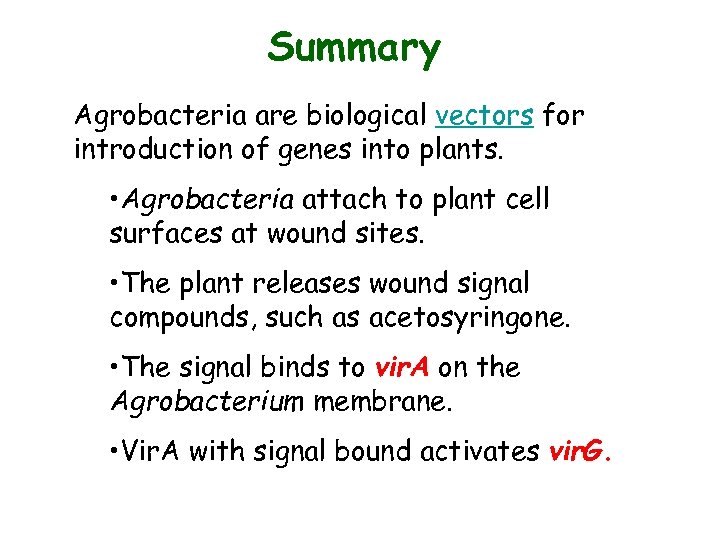 Summary Agrobacteria are biological vectors for introduction of genes into plants. • Agrobacteria attach