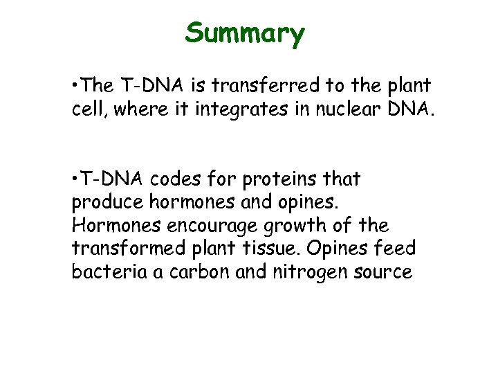 Summary • The T-DNA is transferred to the plant cell, where it integrates in
