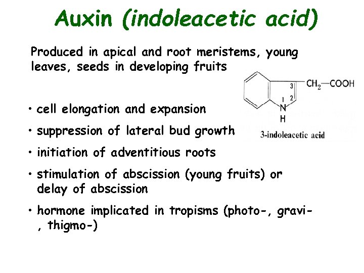 Auxin (indoleacetic acid) Produced in apical and root meristems, young leaves, seeds in developing