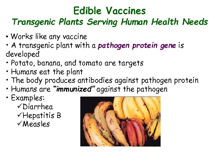 Edible Vaccines Transgenic Plants Serving Human Health Needs • Works like any vaccine •