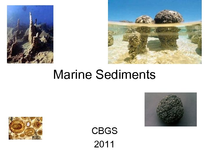 Marine Sediments CBGS 2011 