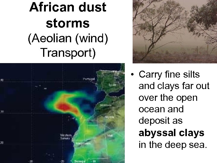 African dust storms (Aeolian (wind) Transport) • Carry fine silts and clays far out