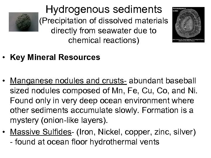 Hydrogenous sediments (Precipitation of dissolved materials directly from seawater due to chemical reactions) •