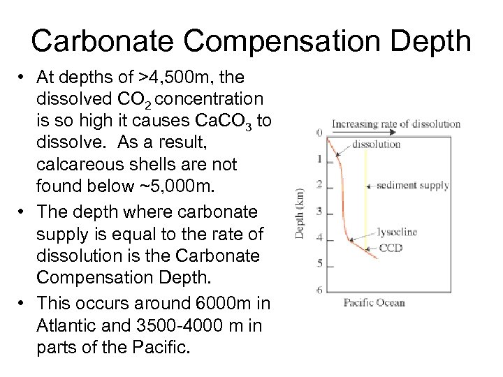 Carbonate Compensation Depth • At depths of >4, 500 m, the dissolved CO 2