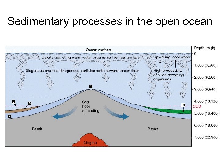 Sedimentary processes in the open ocean 