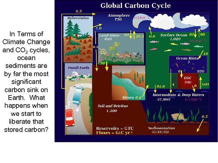 In Terms of Climate Change and CO 2 cycles, ocean sediments are by far