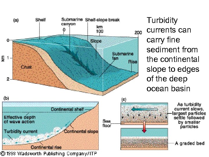 Turbidity currents can carry fine sediment from the continental slope to edges of the