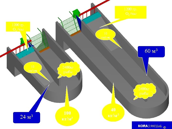1200 гр. O 2 /час 10 см/сек 60 м 3 10 см/сек 2400 кг