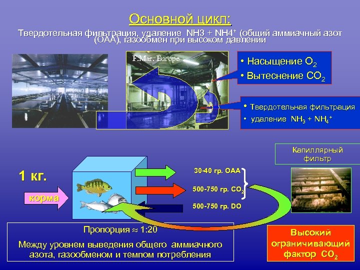 Основной цикл: Твердотельная фильтрация, удаление NH 3 + NH 4+ (общий аммиачный азот (ОАА),