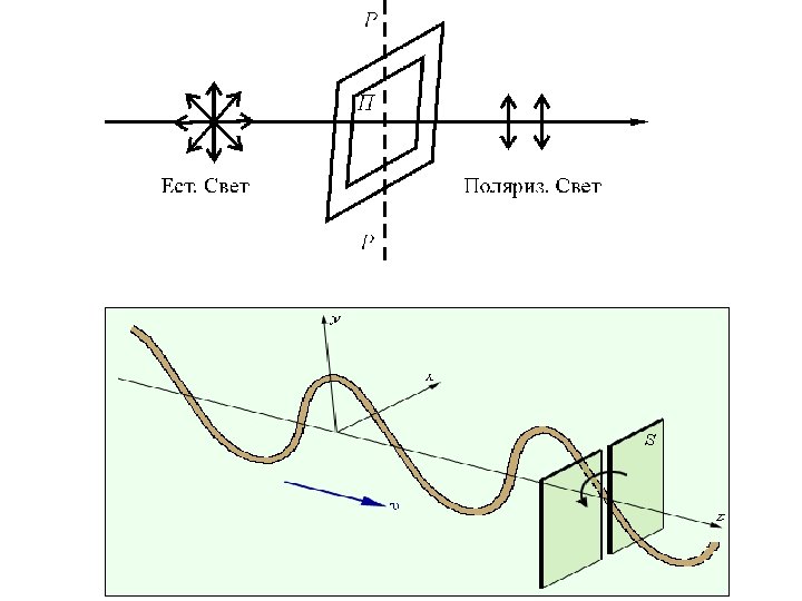 Плоскополяризованный свет рисунок